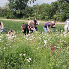 Studierende auf einer Blumenwiese