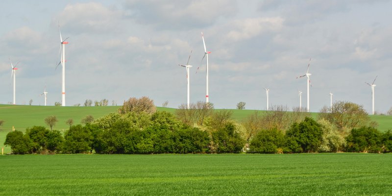 Grüne Wiese mit sanften Hügeln, im Hintergrund mehrere große Windräder in einer Reihe, die sich gegen den leicht bewölkten Himmel abheben.