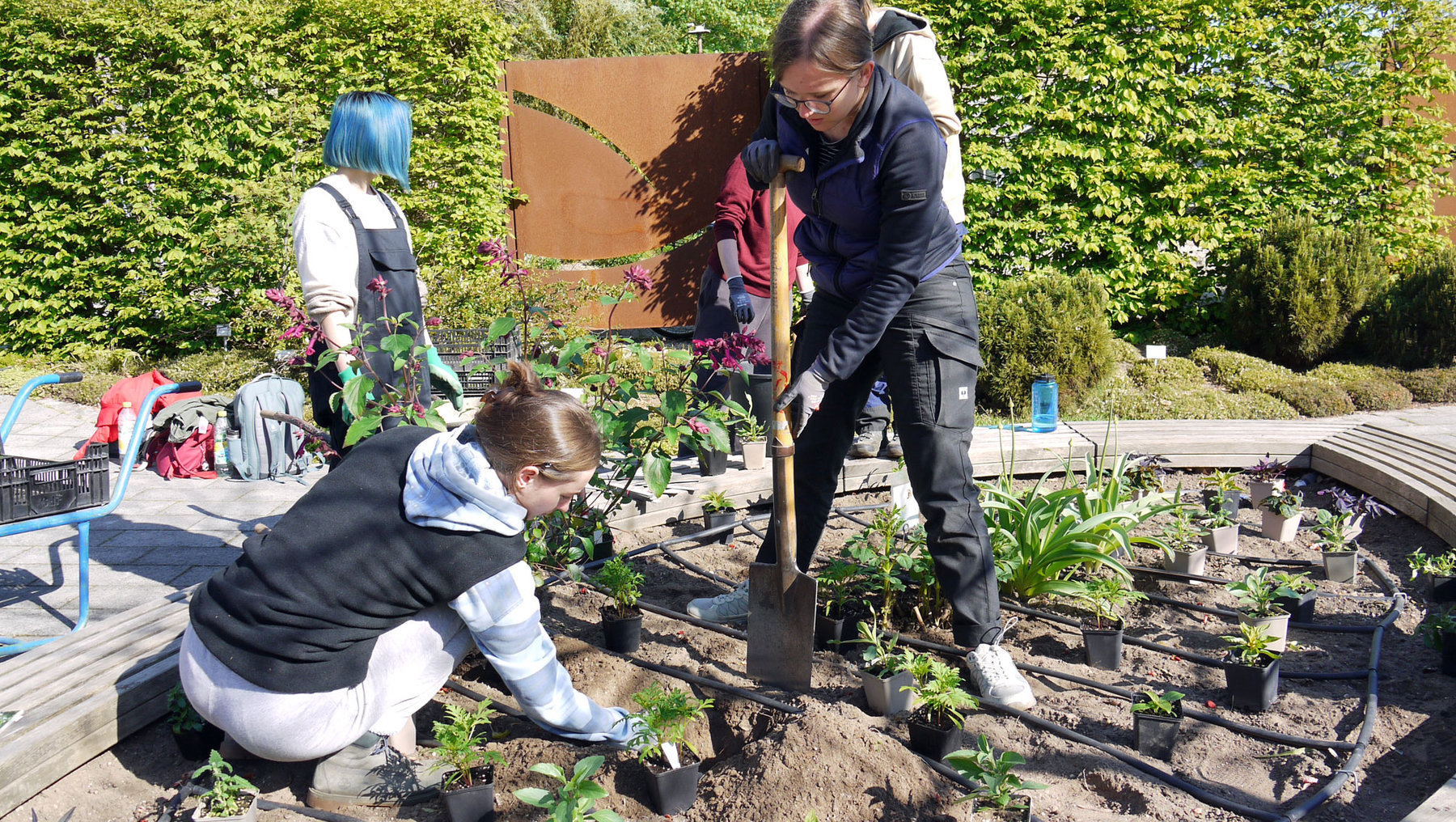 Zwei Personen arbeiten im Garten: Eine hockt und pflanzt kleine Pflanzen in die Erde, während eine andere daneben mit einer Schaufel Erde bewegt. Im Hintergrund sind weitere Menschen und bepflanzte Beete zu sehen.
