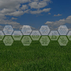 Symbolbild Forschung zur Klimaanpassung zeigt Graslandschaft mit blauem Himmel und Grafik zu Forschungsthemen