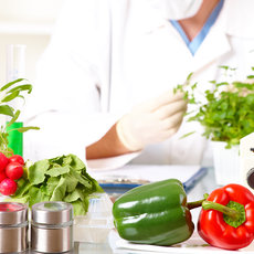 Grün rotes Gemüse im Labor