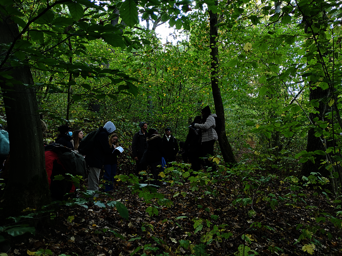 Eine Gruppe von Menschen steht in einem Wald mit dichtem Laubdach und buntem Herbstlaub am Boden. Einige halten Blätter oder Notizbücher und scheinen sich mit Pflanzen oder der Natur zu beschäftigen.