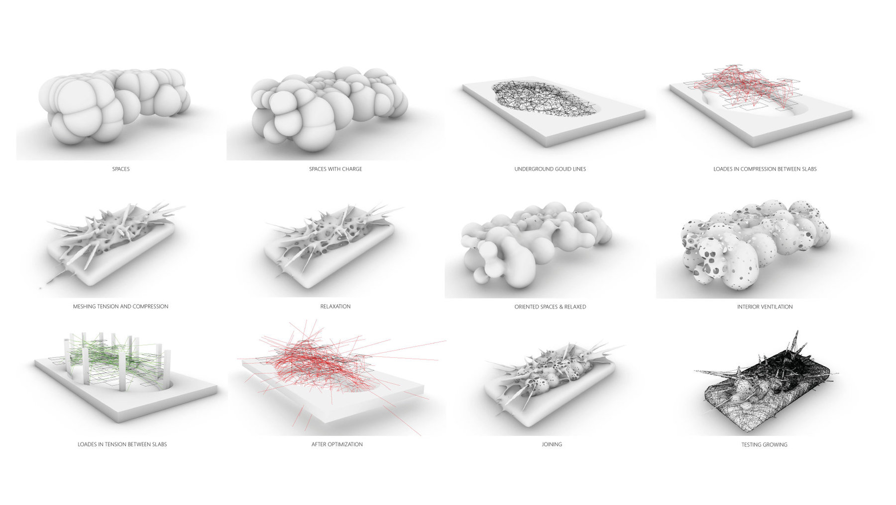 Biotope Generative System - Strategy for integrating Contemporary Housing Community with Nature in Florida