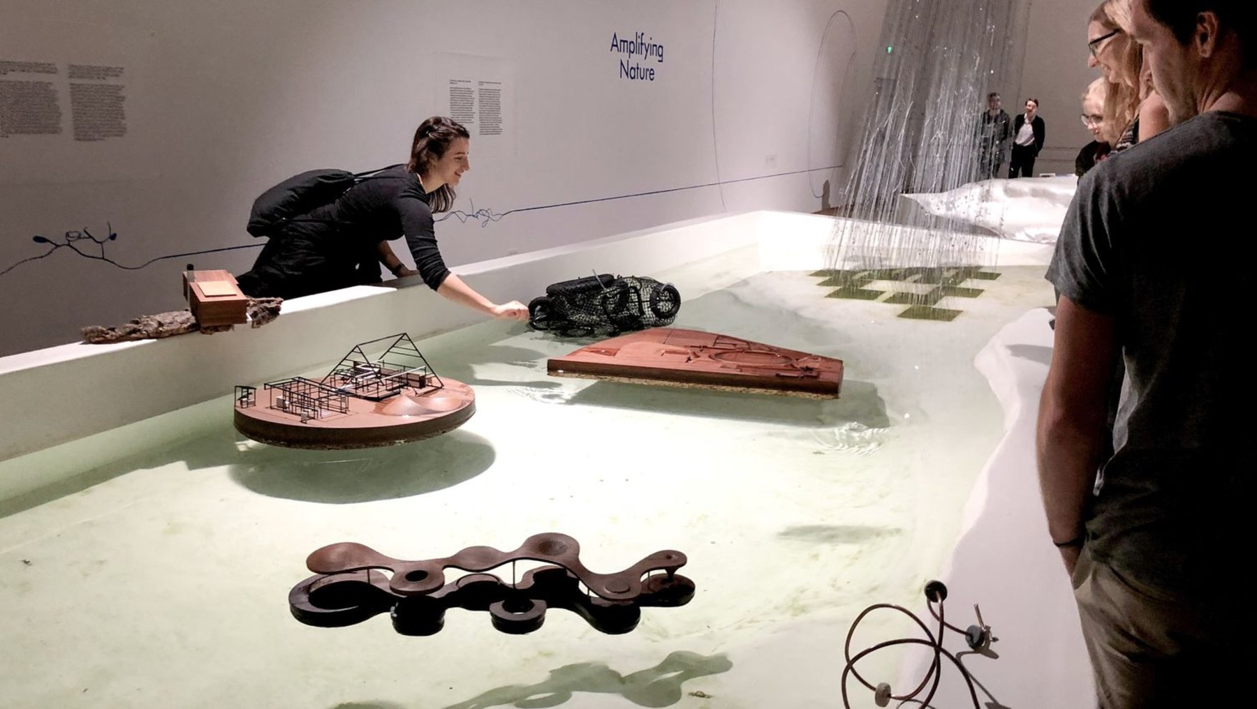 "Amplifying Nature" - die Natur als Prozess im polnischen Pavillon