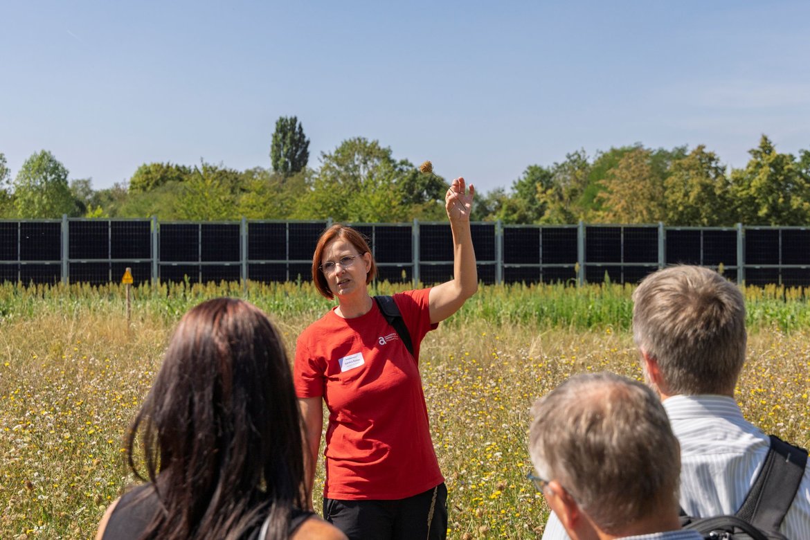Eine Frau in rotem Shirt erklärt im Freien einer kleinen Gruppe etwas über eine blühende Wiese mit Agri-PV-Anlage im Hintergrund.