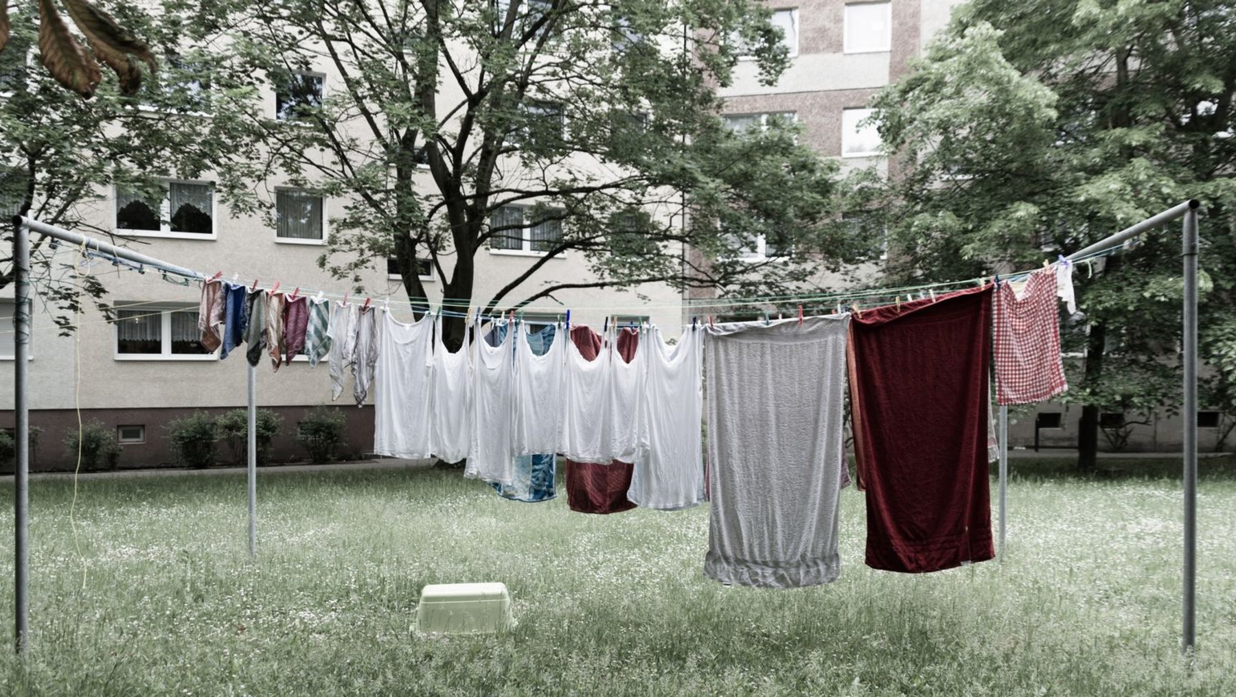 Shen Deyong "Die Besetzung des urbanen Raumes"