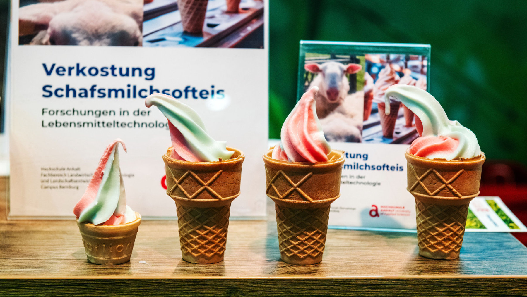 Drei Eisbecher mit Schafmilch-Softeis in verschiedenen Geschmacksrichtungen, serviert in typischen Waffelhörnchen mit cremiger Oberfläche. Im Hintergrund Plakate zur Verkostung und Forschung in Lebensmitteltechnologie.