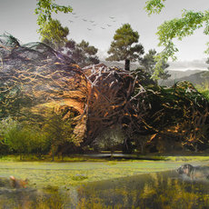 Biotope Generative System - Strategy for integrating Contemporary Housing Community with Nature in Florida