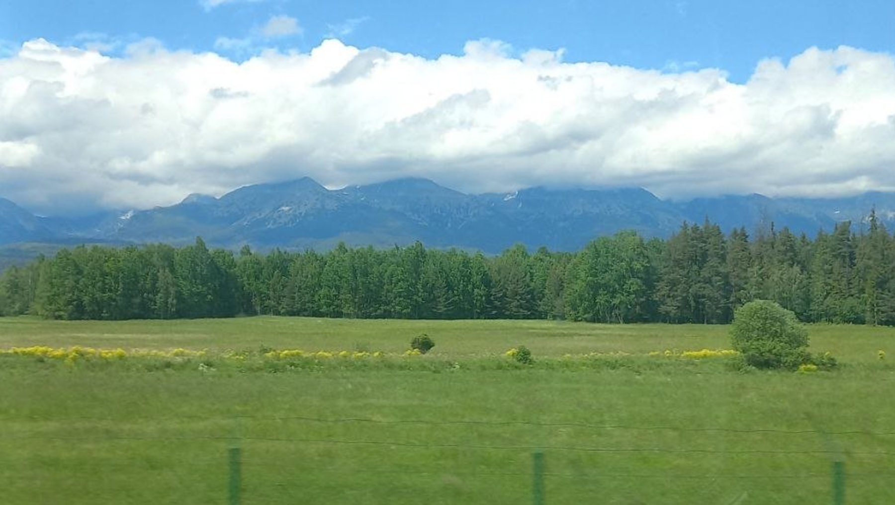 Weite grüne Wiese mit wenigen Bäumen und Büschen, im Hintergrund bewölkter Himmel und eine Bergkette.