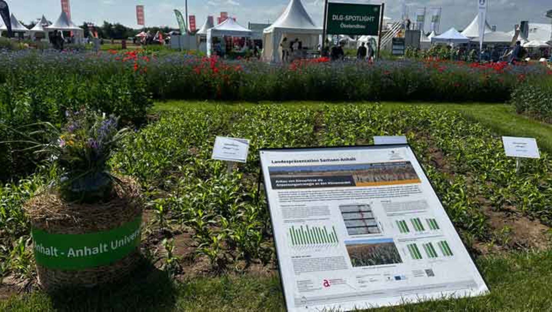 Blühende Wiese mit Informationsplakat zur „Landwirtschaftlichen Lehre Anhalt“, das Grafiken und Daten zu nachhaltiger Landwirtschaft zeigt, umgeben von weiteren Pflanzenbeeten und Zeltanlagen im Hintergrund.