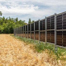 Großes Feld mit reifem Getreide, das bis zum Horizont reicht, mit einer Reihe von Solarmodulen auf Metallgestellen im Vordergrund, die parallel zur Feldgrenze aufgestellt sind.