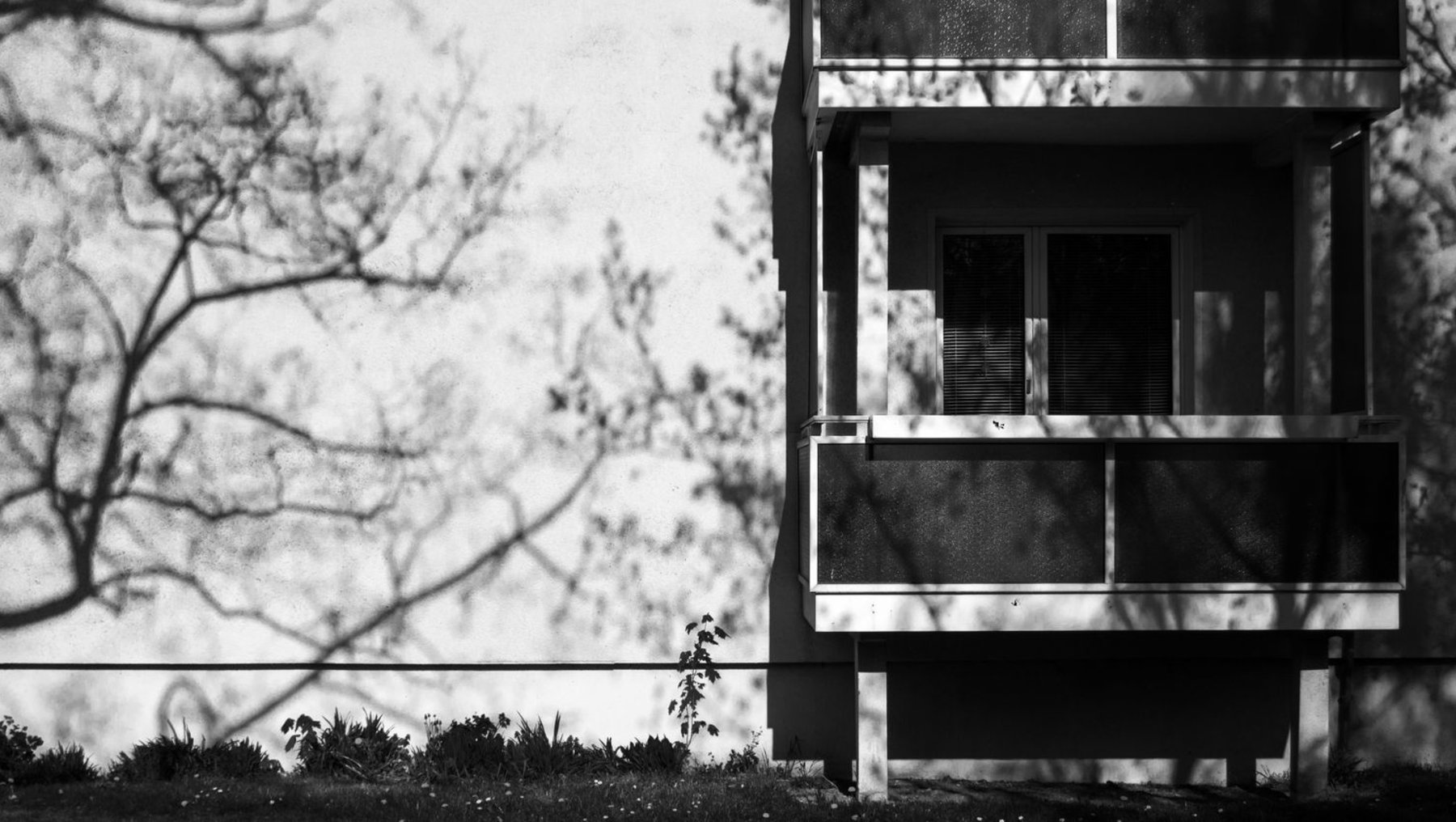 Janick Schmid "Schatten"