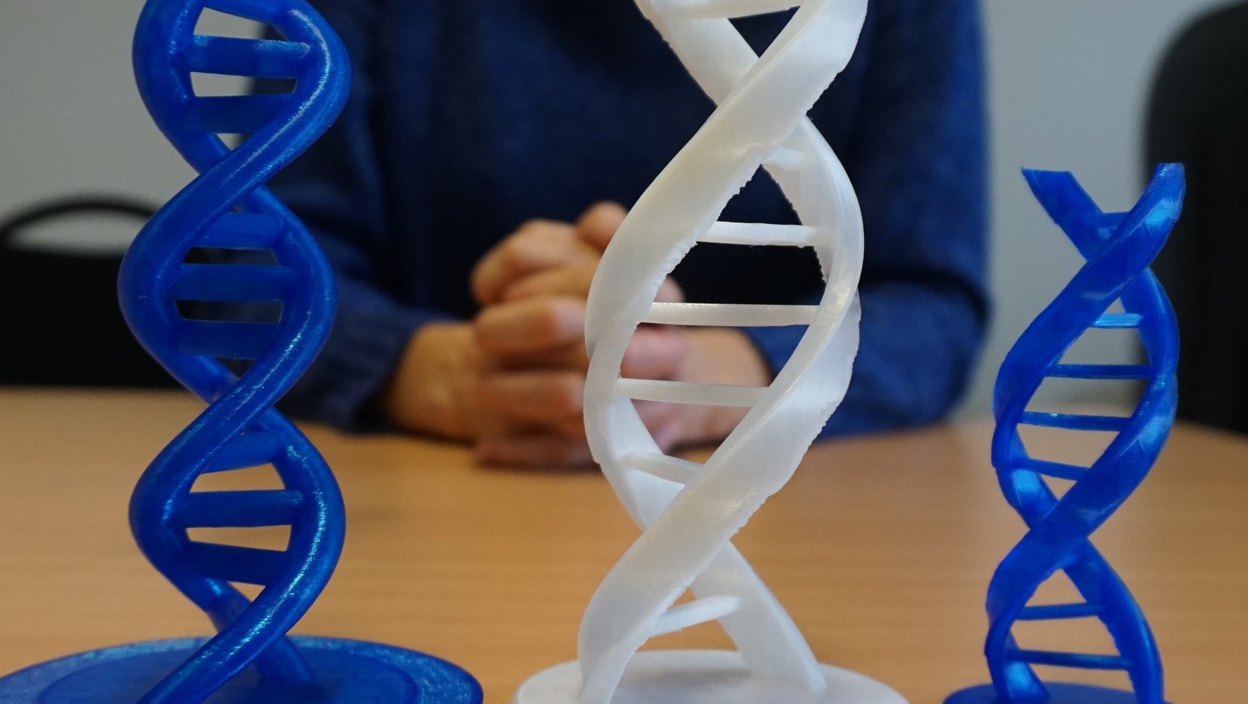 Drei 3D-gedruckte DNA-Doppelhelix-Modelle in den Farben blau und weiß auf einem Tisch platziert, zwei blau und eines weiß.