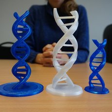 Drei 3D-gedruckte DNA-Doppelhelix-Modelle in den Farben blau und weiß auf einem Tisch platziert, zwei blau und eines weiß.