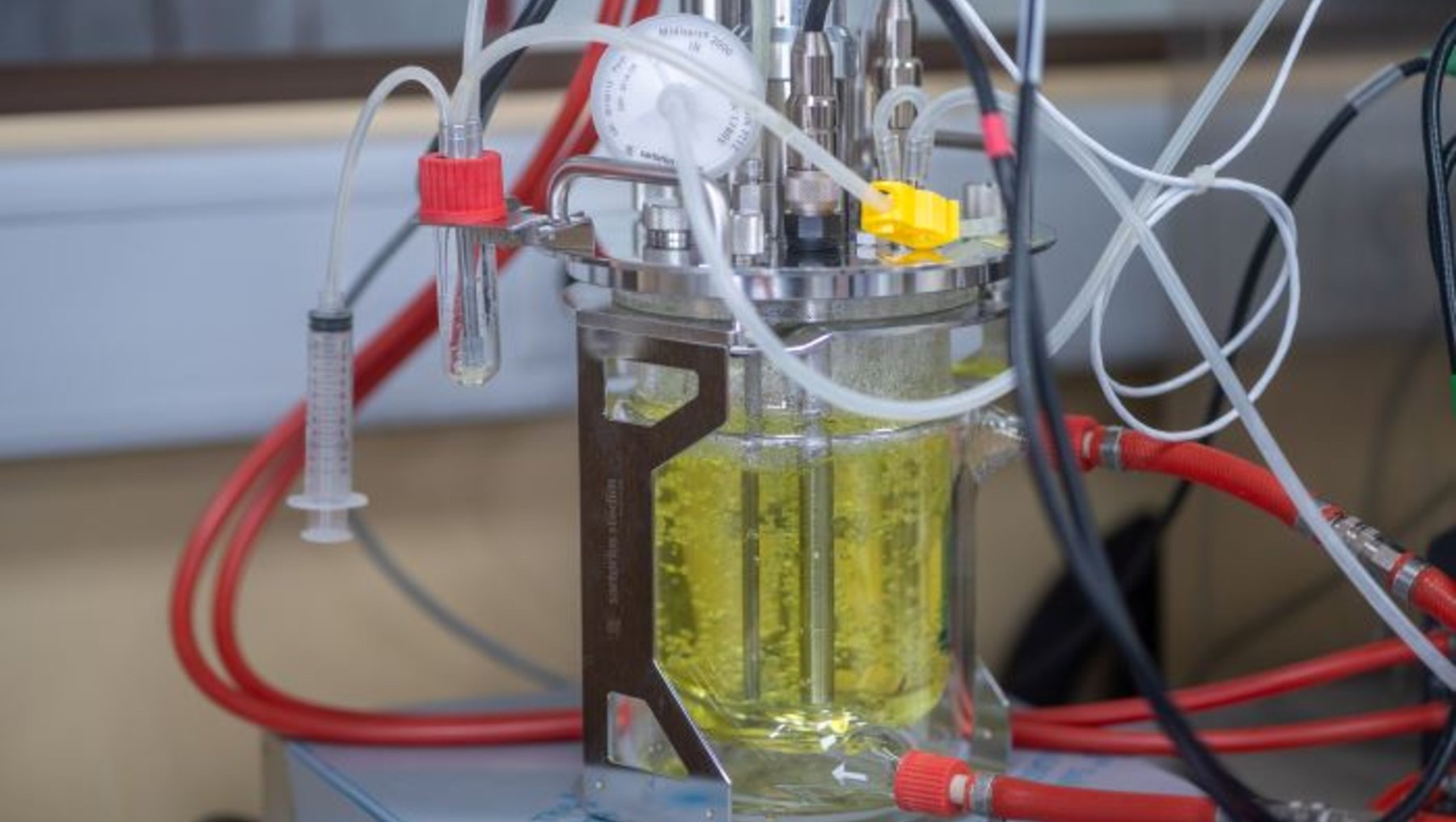 Ein Laboraufbau mit einem durchsichtigen Behälter, der eine gelbe Flüssigkeit enthält. Verschiedene Schläuche und Geräte sind mit dem Behälter verbunden, darunter eine Spritze und Kabel. Der Aufbau scheint für ein chemisches Experiment oder eine Analyse bestimmt zu sein.