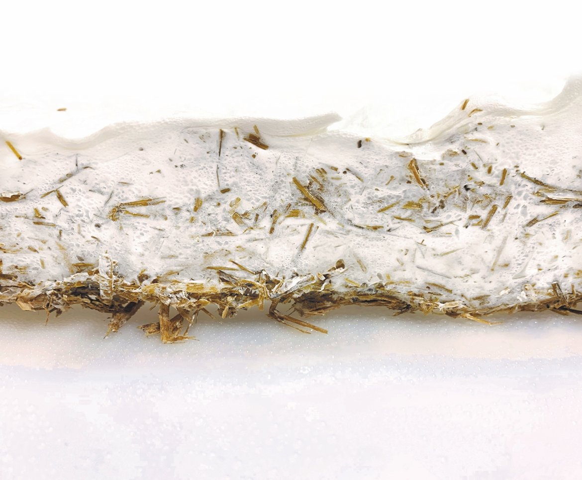 Foto eines weißen Werkstoffs mit Holzspänen zeigt Pilzmyzel zum Bau von Werkstücken