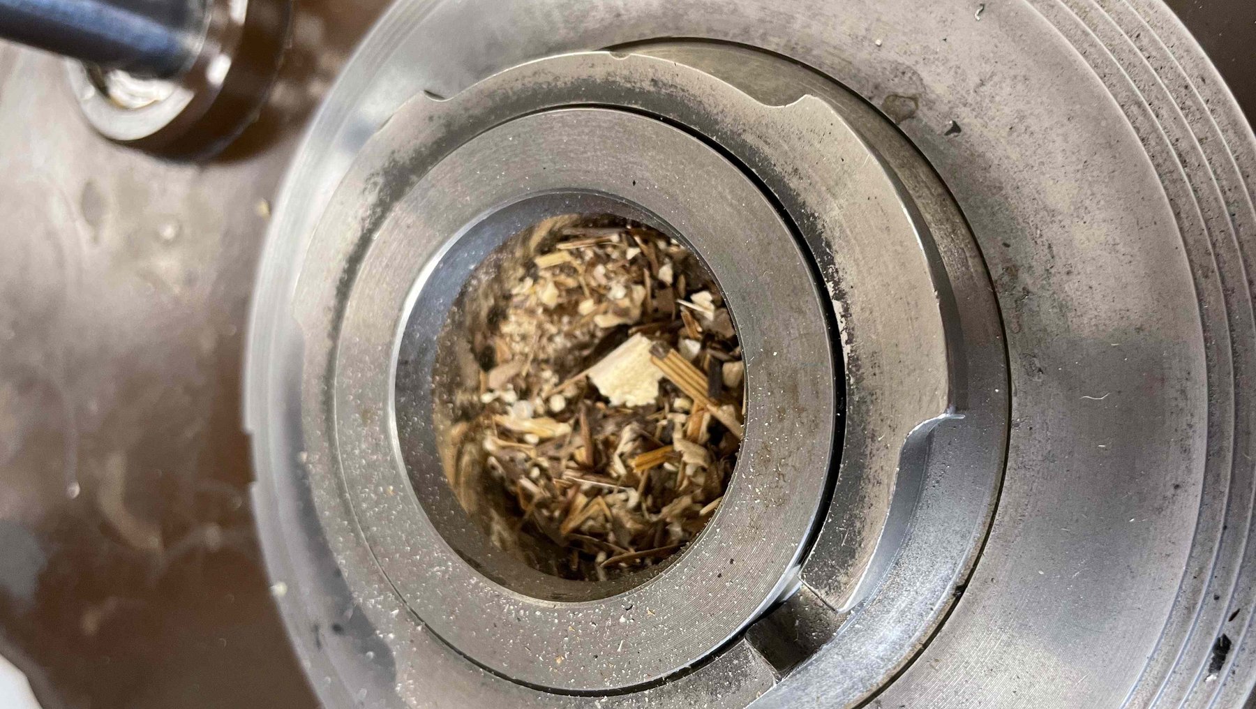 Eine metallische Presse mit groben, getrockneten Teilen des Japanischen Staudenknöterichs, die zerkleinert werden, die zu einer festen Platte verpresst werden.